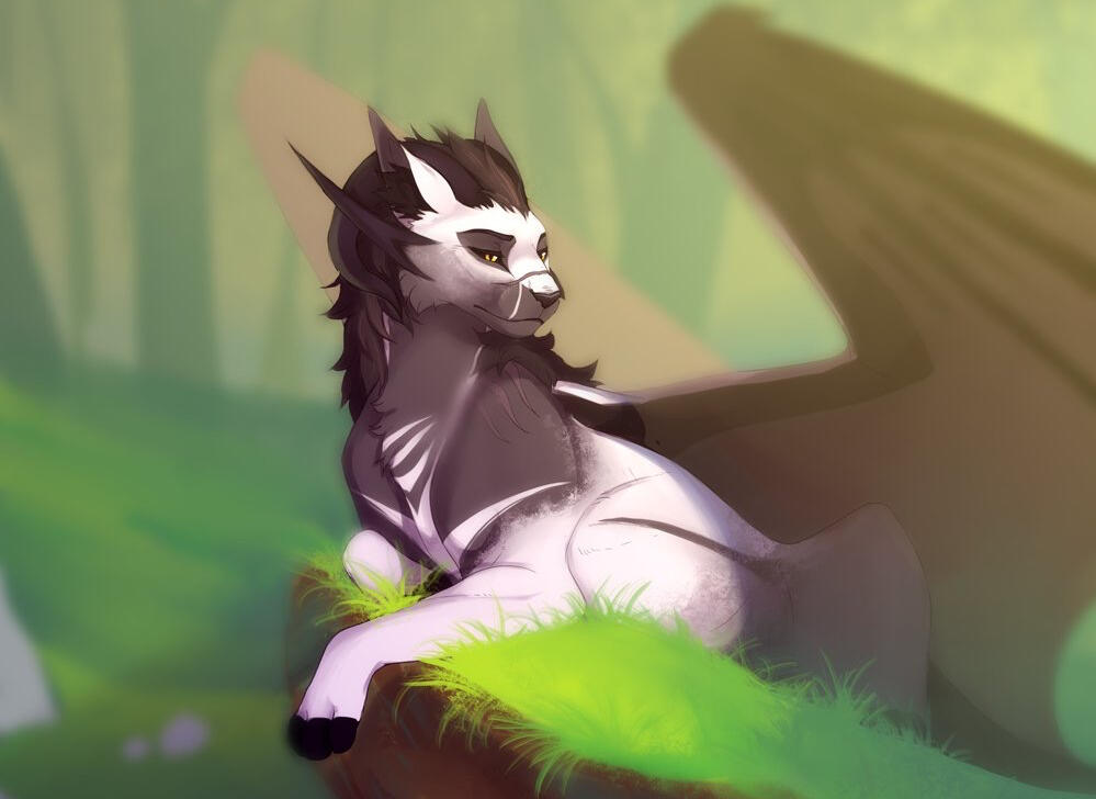 Original (Cam, Nanashi, Shadow, Zarv)